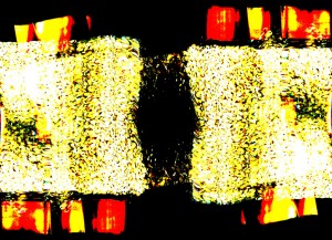 Abstraction au riz (2006)