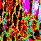 Abstraction cellulaire