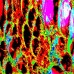 Abstraction cellulaire