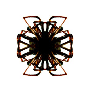 D'araignée (2005)