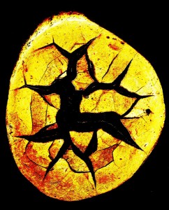Les danseuses (2005)