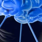 Neurosciences (Part 1)