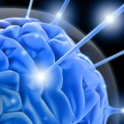 Neurosciences (Part 2)