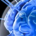 Neurosciences (Part 3)