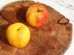 Deux pommes sur bois d'arole, 2004