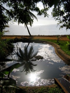 En Guyane, 2006